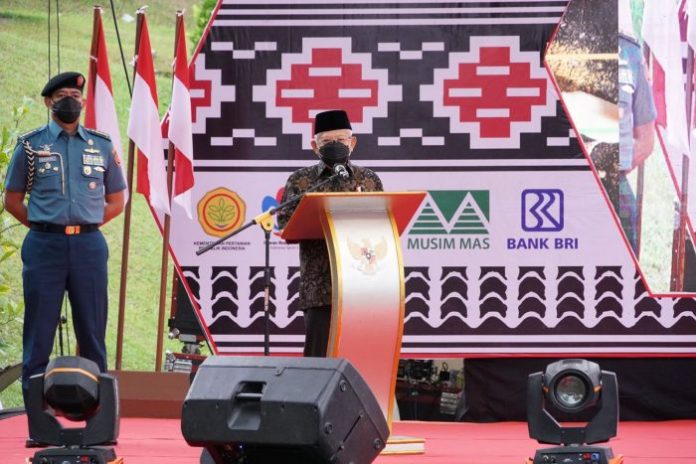 Wakil Presiden Ingin Kembalikan Kejayaan Rempah dari Kawasan Danau Toba
