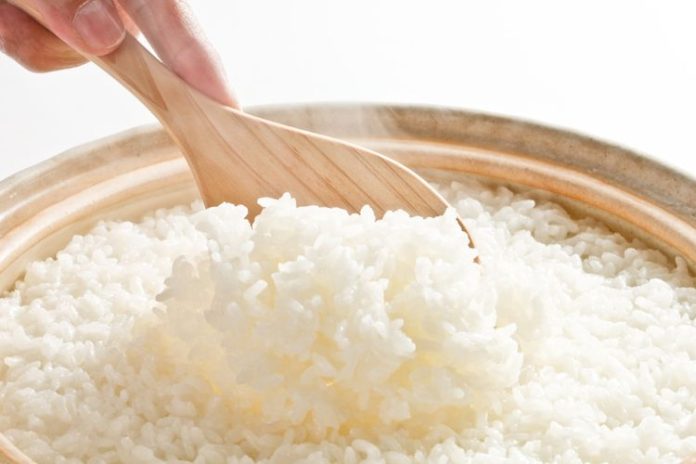 Lima Pengganti Nasi untuk Diet