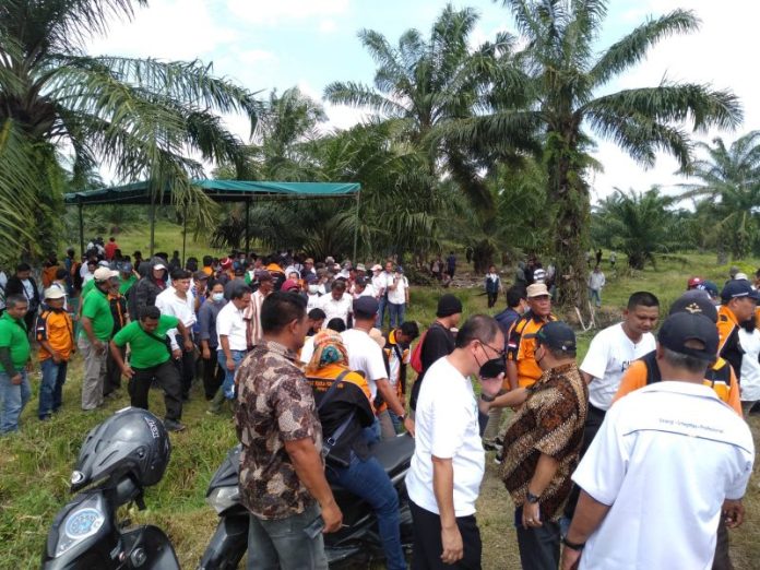 Karyawan PTPN2 Jaga Areal HGU Kebun Tanjung Garbus dari Mafia Tanah