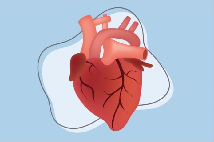 Kenali Organ Jantung Anda Tidak Sehat, Ini Tandanya