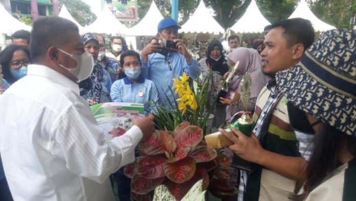 Tanaman Aglonema Binjai Juarai Pameran Florikultura Sumut 2022