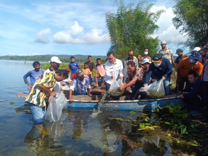 Pemkab Toba dan Regal Springs Indonesia Bersinergi Kelola Keberlanjutan Sumber Daya Ikan di Danau Toba