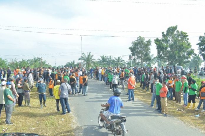 Sudah 3 Hari, Ratusan Karyawan PTPN2 Bertahan di Areal HGU Tanjung Garbus