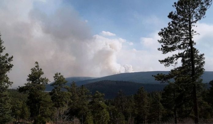 Kebakaran Hutan Terbesar Landa New Mexico, Api Dekati Las Vegas