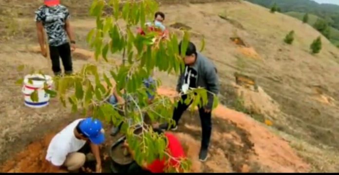 Simantek Talun Kuta Desa Suka Maju Terima Bibit Pohon Durian dari PT BUK