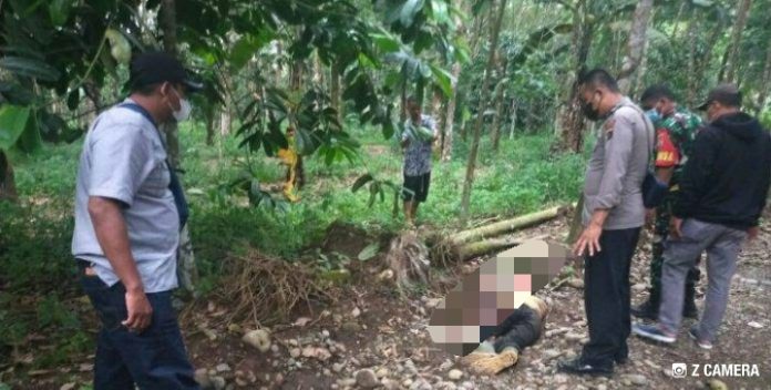 Perkelahian Maut Dua Bersaudara di Deli Serdang, Abang Tewas Dibunuh Adik Kandung