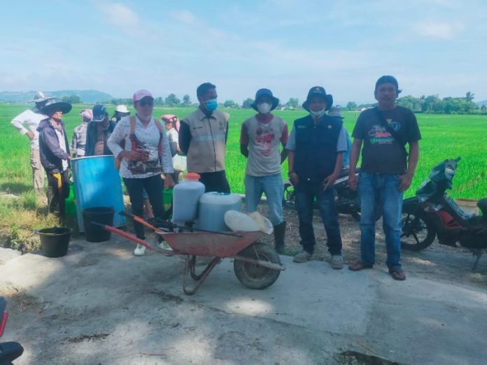 UPT PTPH Medan Salurkan Bibit dan Pestisida Nabati ke Toba
