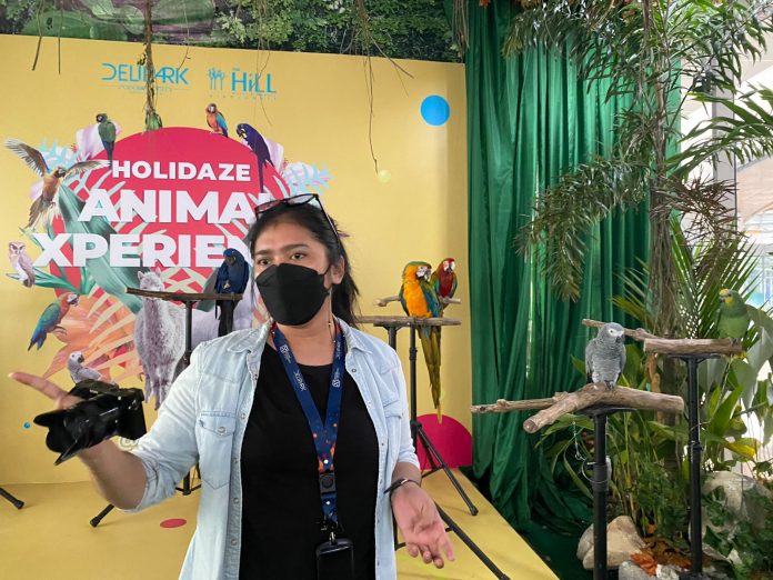 Animal Xperience Hadirkan Mini Zoo di Dalam Mall
