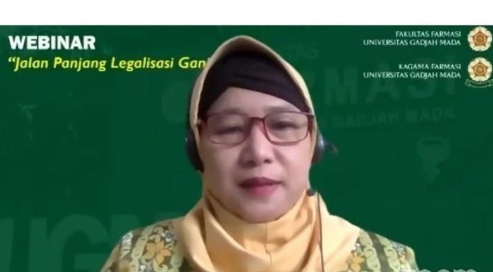 Guru Besar UGM Usulkan Ganja Tak Dilegalisasi Meski untuk Tujuan Medis