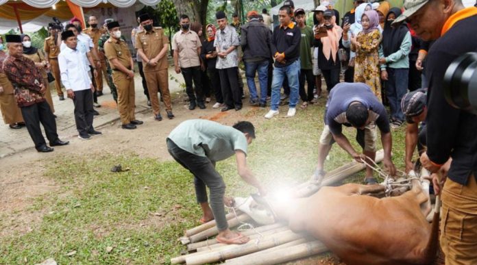 Petugas Kebersihan dan Anak Stunting, Prioritas Penerima Daging Kurban di Medan Johor