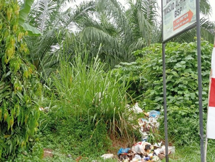 Areal Kebun Sawit di Pasar Melintang Jadi Lokasi Buang Sampah Warga