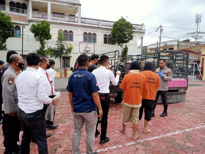 Polres Samosir Berhasil Ungkap Kasus Pencurian Ternak Kerbau