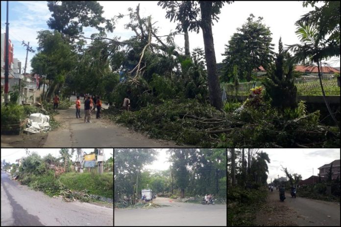 Sampah Sisa Pemotongan Pohon Tumbang di Siantar Masih Numpuk di Pinggiran Jalan