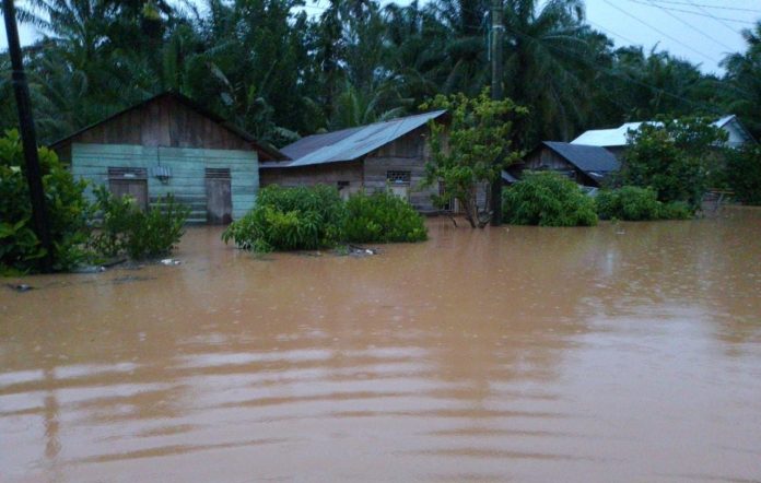 Puluhan Rumah Terendam Banjir di Desa Sampuran Madina