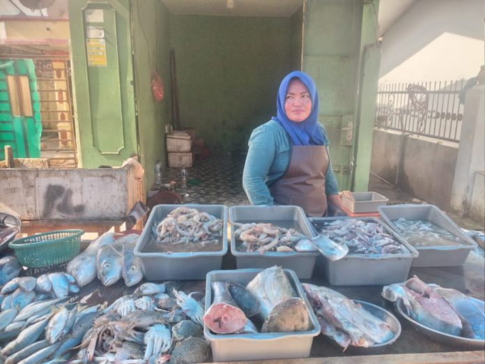 Harga BMM Naik, Harga Ikan Laut di Deli Serdang Ikut Melonjak
