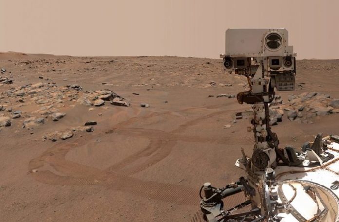 Batu Wildcat Ridge Ditemukan di Mars