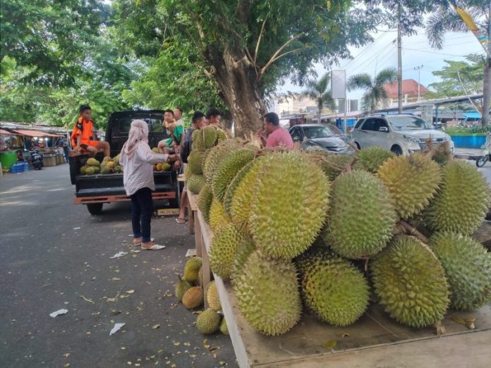 Viral, Durian Sidikalang Disebut Murah Rp3.000-Rp5.000 per buah, Ternyata Ini Faktanya