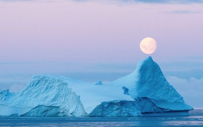 Ilmuwan Temukan Kehidupan Lain di Bawah Antartika