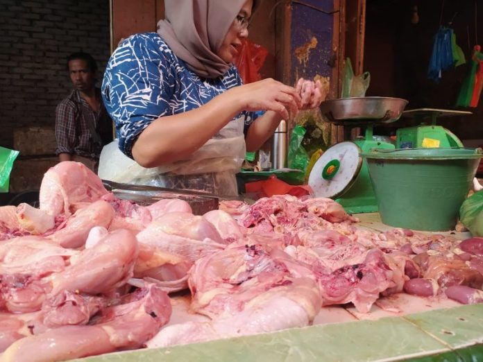 Peternak Sebut Harga Daging Ayam Bakal Naik