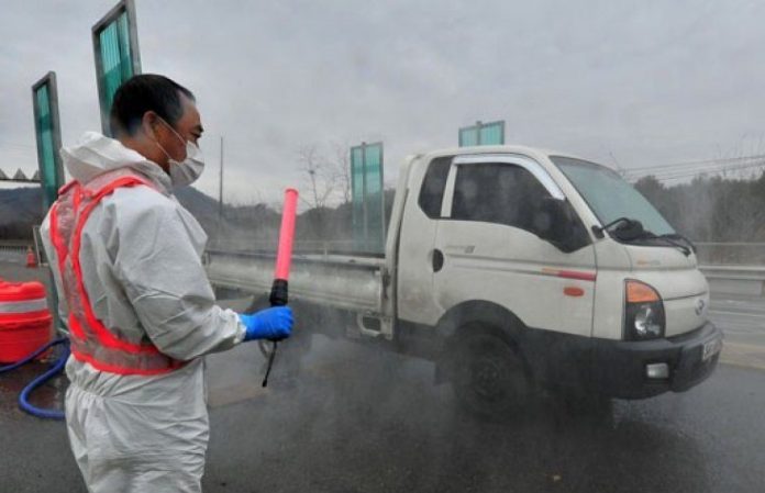 Korea Selatan Laporkan Lagi Kasus Flu Burung