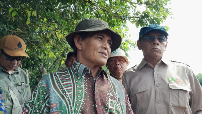 BRGM RI Targetkan 373 Hektar Lahan Mangrove di Sumut Direhabilitasi