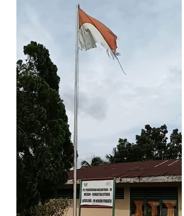 Miris! PTPN4 Kebun Pabatu Kibarkan Bendera Merah Putih dalam Kondisi Sobek
