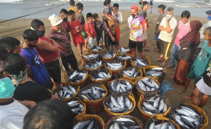 Pembatasan Tangkap Ikan Ditarget Berlaku Januari 2023, Tinggal Tunggu Restu Jokowi