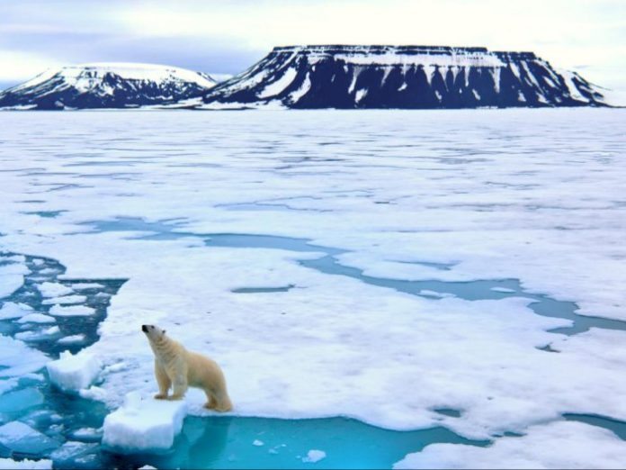 AS Bagian Timur Laut, Kanada Bersiap untuk Ledakan Arktik 'Epik'