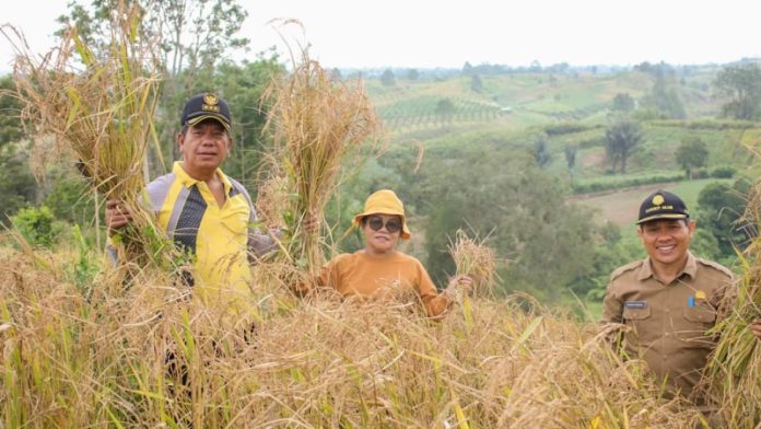 Bupati Radiapoh Siapkan Skema Bantu Petani Simalungun