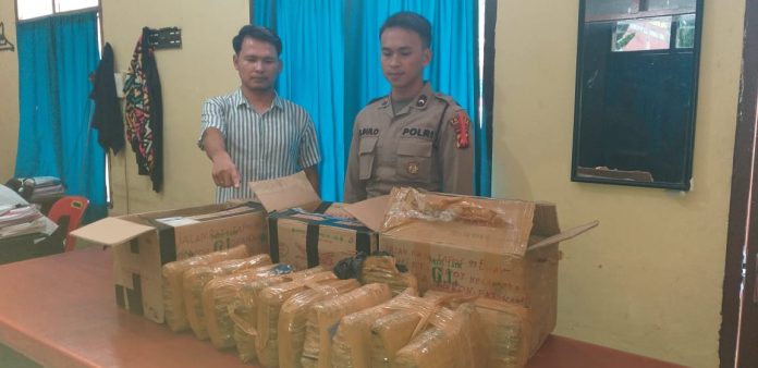 Polres Taput gagalkan pegiriman ganja ke Jakarta melalui Bandara Silangit. (f:ist/mistar)