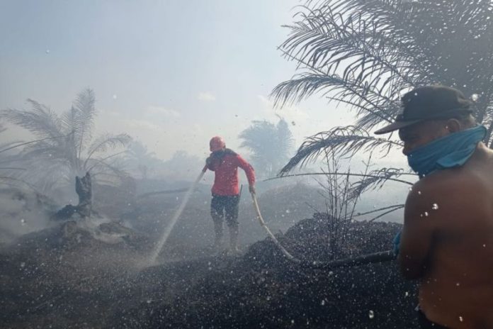 Kebakaran 50 Hektare Lahan di Bengkalis Picu Kabut Asap
