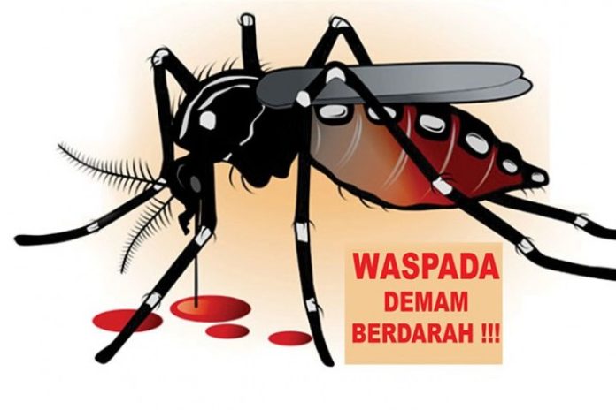 DbD Dengue