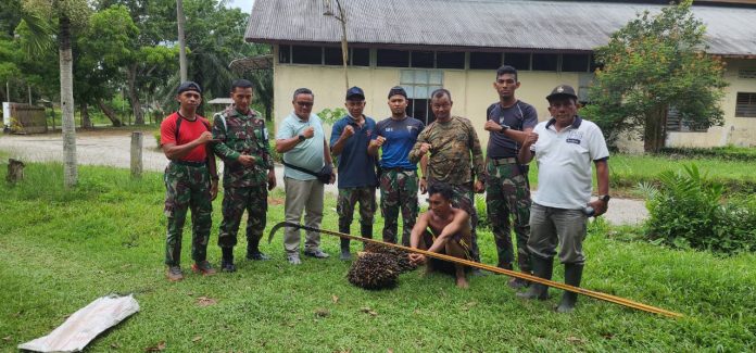 Kebun Tanjung Garbus Pagar Merbau PTPN 2 Amankan Dua Pencuri Sawit