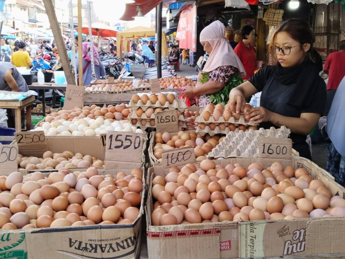Harga Telur Kembali Naik, Daging Ayam Masih Bertahan Mahal di Siantar