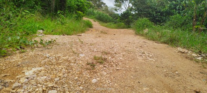 Kondisi fisik pekerjaan pengerasan jalan usaha tani sumber DD 2022 di Dusun I Lumban Sianturi, Desa Pandiangan, Kecamatan Lae Parira, Kabupaten Dairi, Rabu(3/5/23). (f:manru/mistar)
