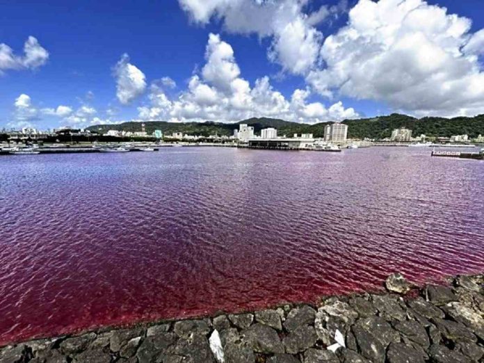 Air Laut di Jepang Jadi Warna Merah