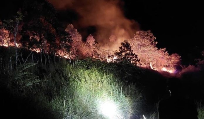Dua Hektare Lahan di Aceh Besar Terbakar, BMKG: Waspadai Dampak El Nino dan IOD