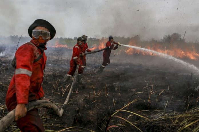Karhutla di Riau Bisa Dipadamkan Setelah Tiga Hari