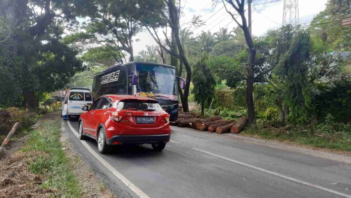 Sejumlah kendaraan yang melintas terganggu akibat potongan kayu yang berserakan.