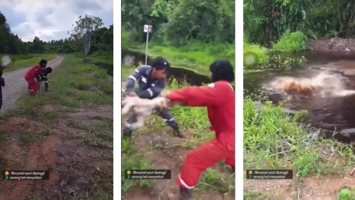 Video Viral Anjing Dilempar Hidup-hidup ke Sungai Penuh Buaya
