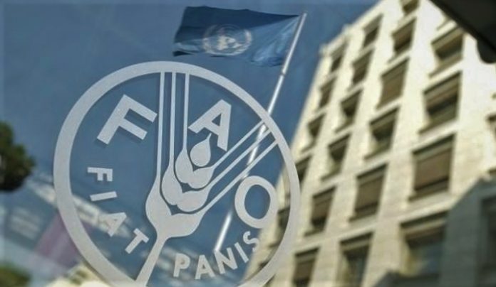 Dewan FAO