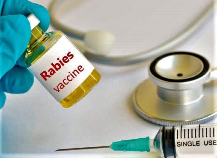 Vaksin Rabies