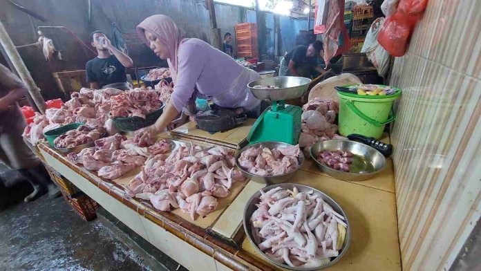 Harga Ayam Potong di Medan Turun, Pedagang Sudah Rp30 Ribu per Kg