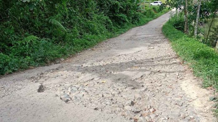 Jalan Akses Perbatasan Desa Sirappak dan Desa Siamporik Lombang Rusak Parah.