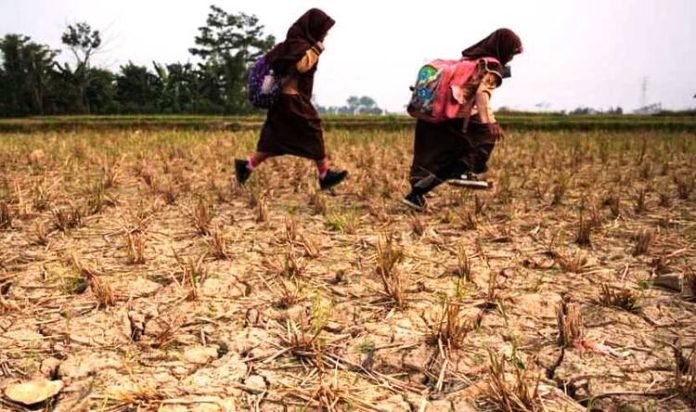 Musim kemarau di Indonesia