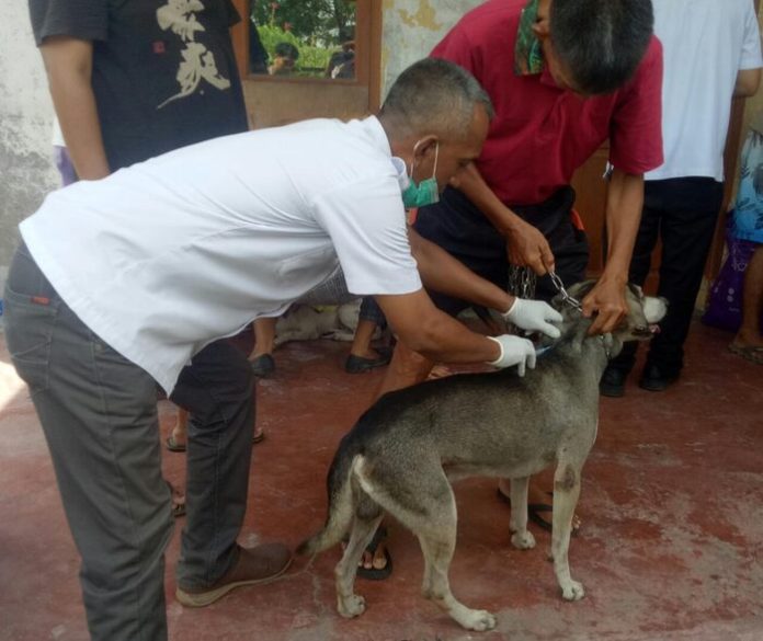 Pelaksanaan vaksinasi hewan peliharaan di Jalan Flamboyan V, Tanjung Selamat, Medan (f:Andreas/mistar)