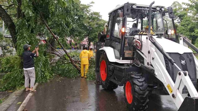 Sejumlah petugas dengan sigap melakukan pembersihan pohon tumbang yang berada di Jalan PDAM Tirtanadi, Medan Sunggal.