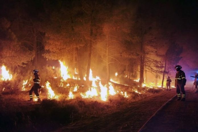 Kebakaran Hutan di Yunani, Sebanyak 19 Ribu Orang Sudah Dievakuasi