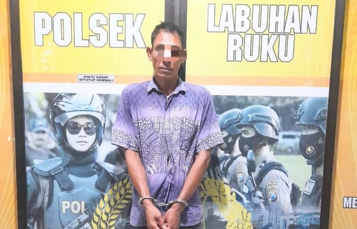 Bongkar Rumah Guru ASN, Pria ini Diringkus Polsek Labuhan Ruku