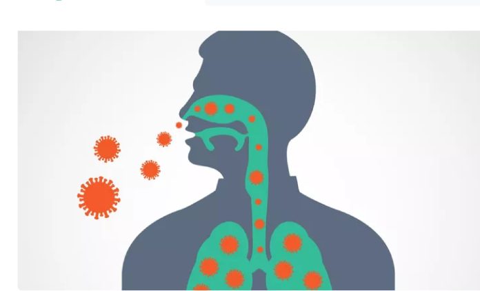 ilustrasi serangan virus ISPA pada orga manusia (f;ist/mistar)